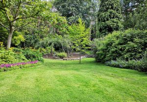 Optimiser l'expérience du jardin à Romagny