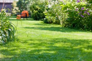 travaux jardin et paysage Romagny